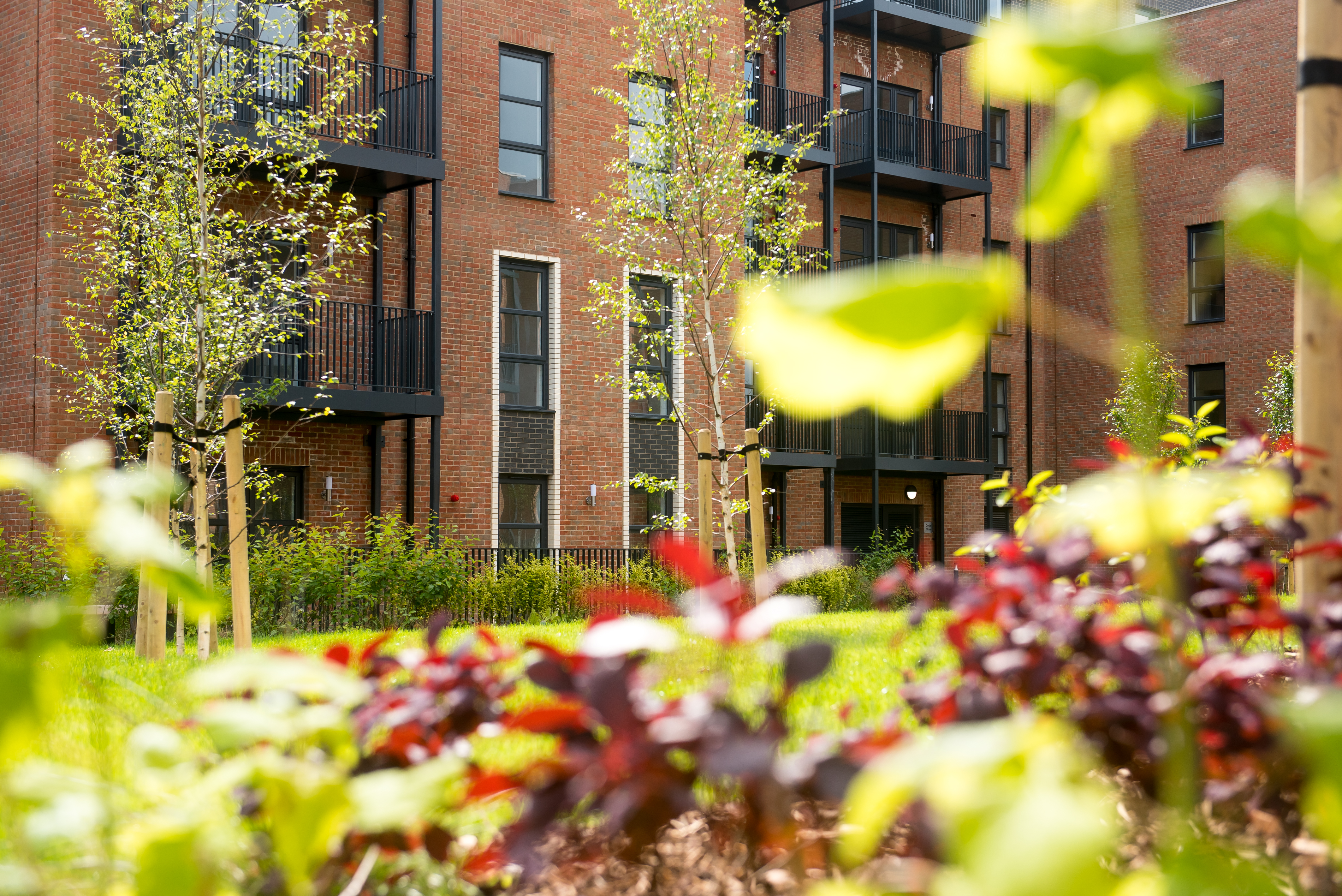 12 06 2024 Thrive 71