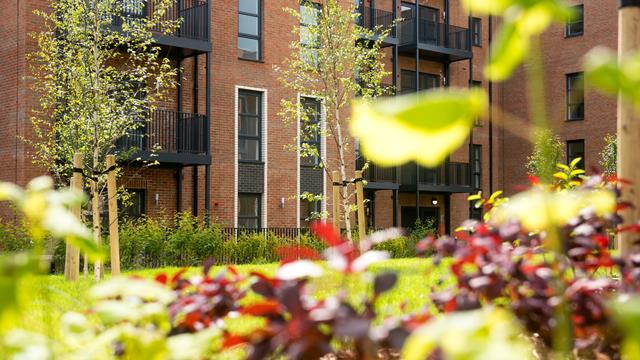 12 06 2024 Thrive 71 12 06 2024 Thrive 71