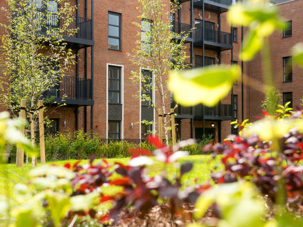 12 06 2024 Thrive 71