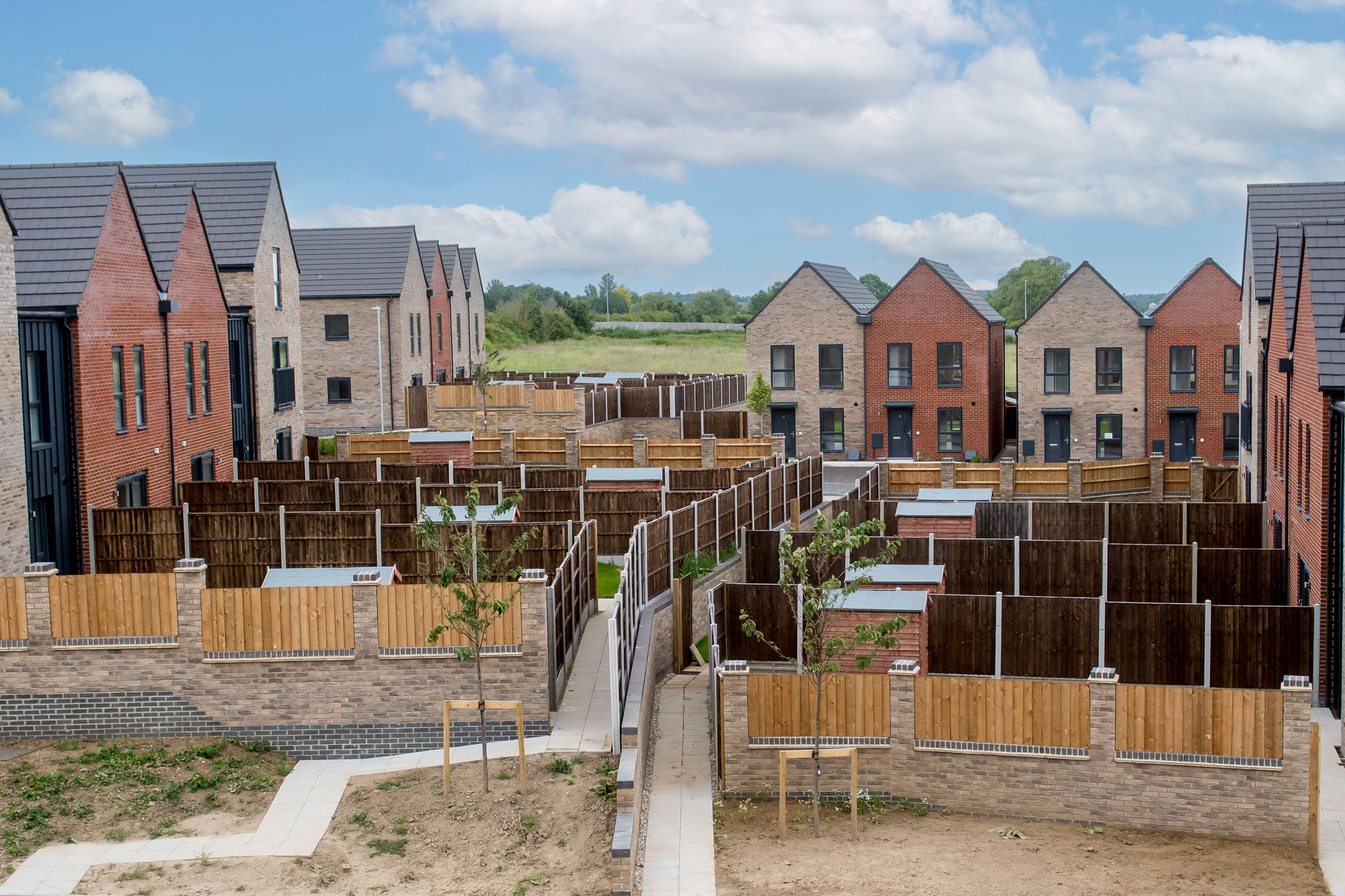 12 06 2024 Thrive 188