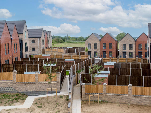 12 06 2024 Thrive 188