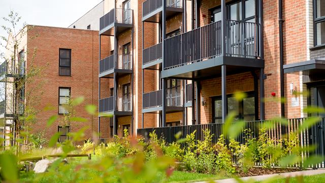 12 06 2024 Thrive 72 12 06 2024 Thrive 72