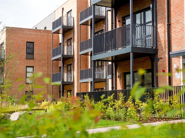 12 06 2024 Thrive 72