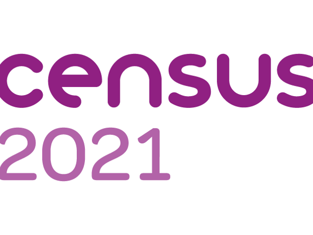 Census 2021 Web Logo (002)