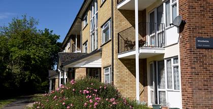 Thrive2019 32 Thrive2019 32