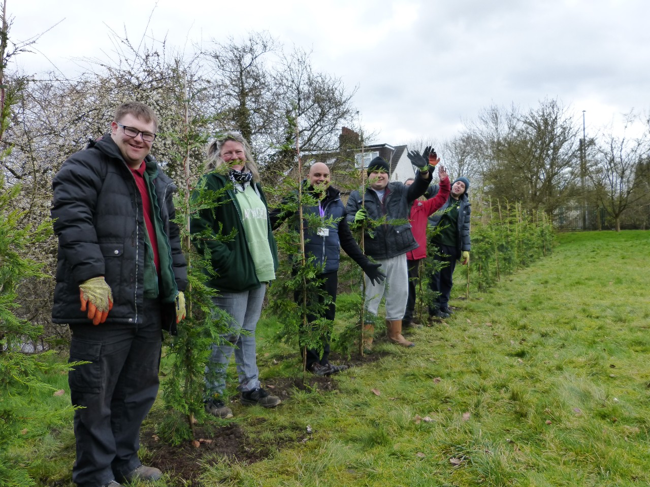 Hedge Planting At Cinnamond House (2)