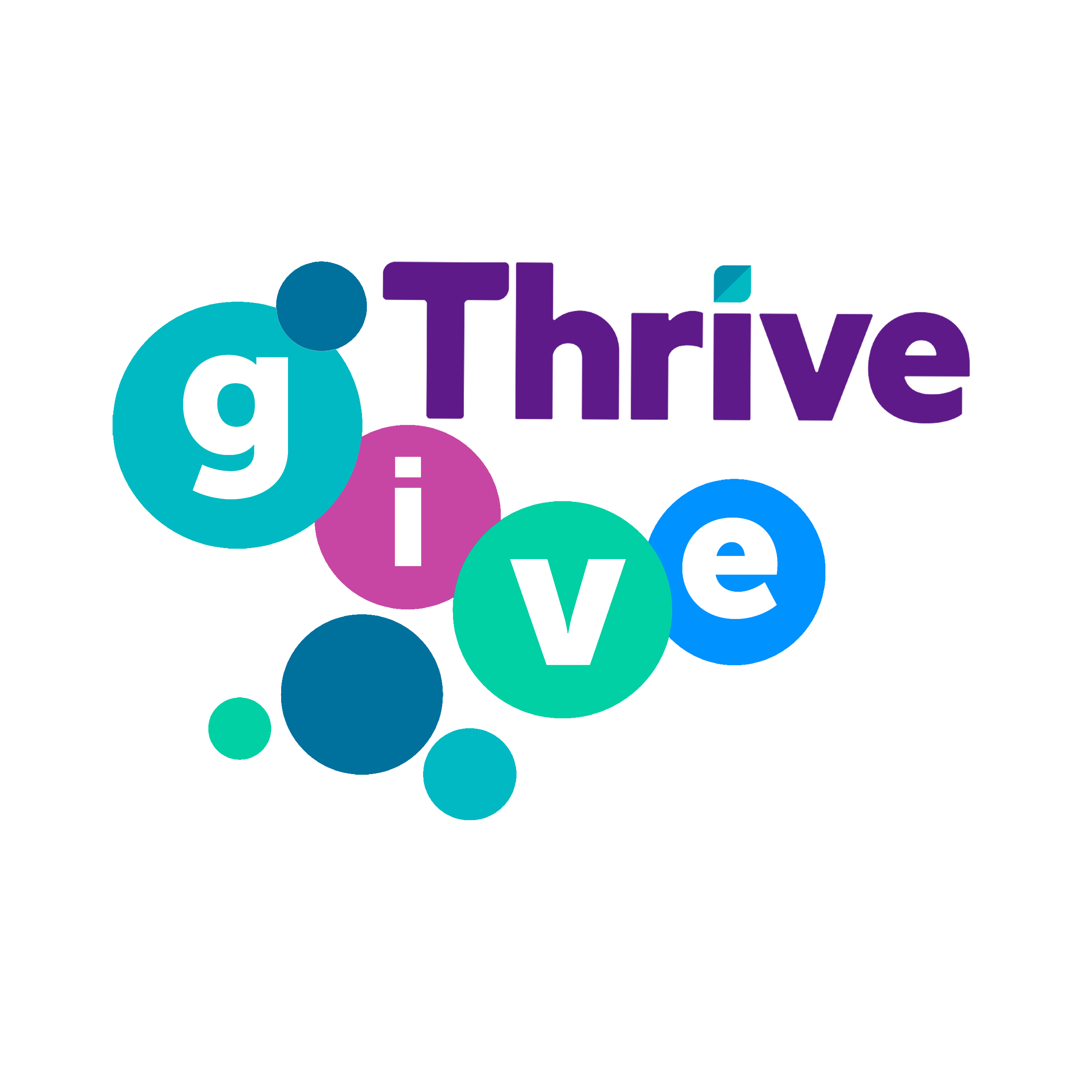 Thrivegive Web Logo