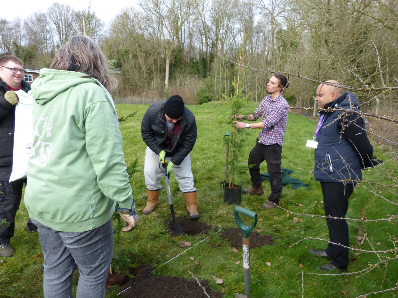 Hedge Planting At Cinnamond House (3)