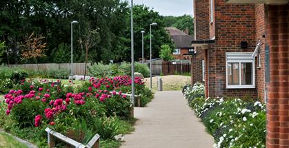 Thrive 109 Thrive 109